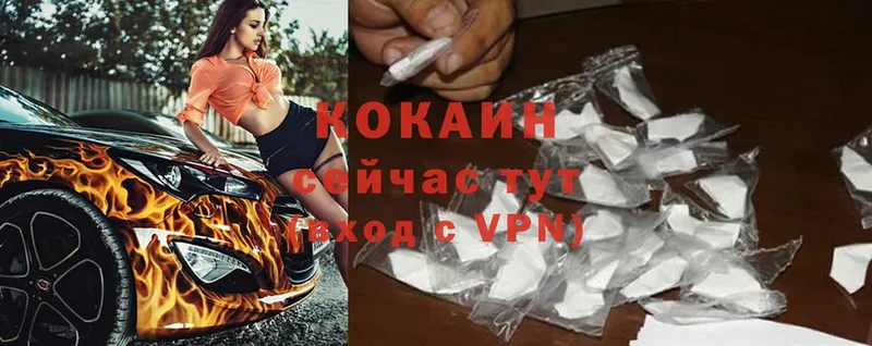 Cocaine Эквадор  купить   Пугачёв 